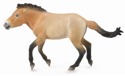 COLLECTA 88602 OGIER KONIA PRZEWALSKIEGO XL / PRZEWALSKI STALLION