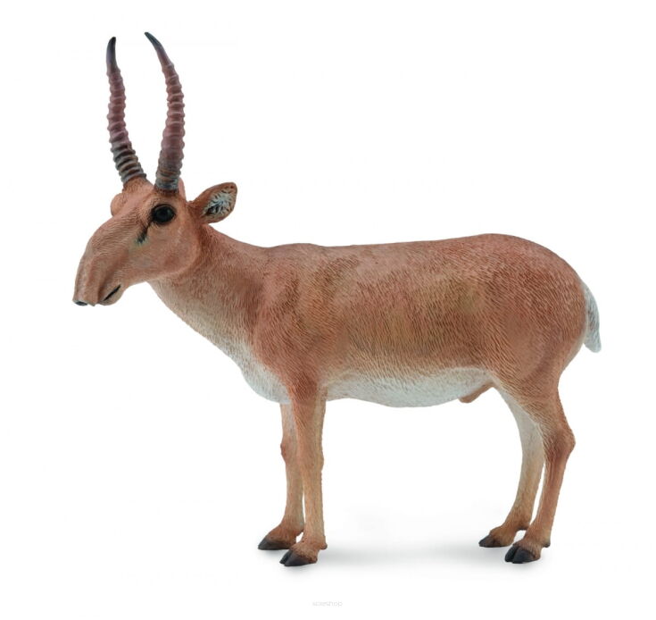 COLLECTA 88808 SUHAK STEPOWY SAMIEC L