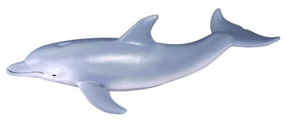 COLLECTA 88042 DELFIN BUTLONOSY ZWYCZAJNY M