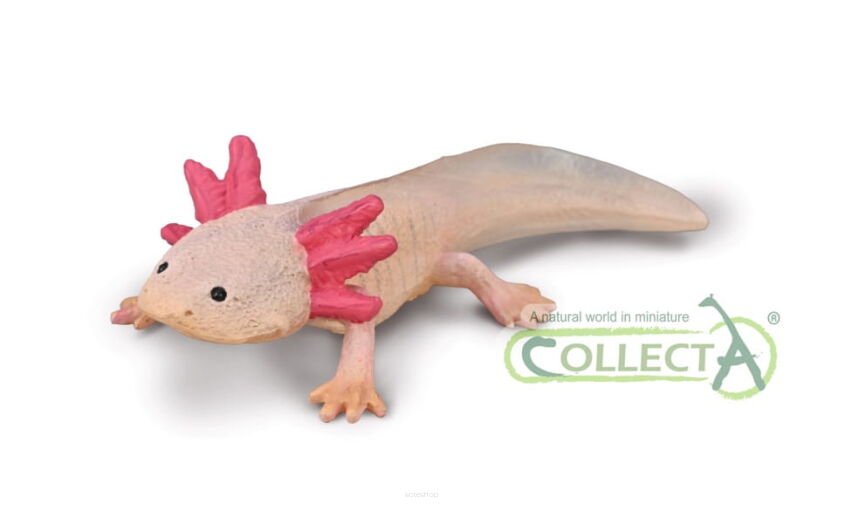 COLLECTA 80015 AKSOLOTL M