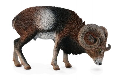 COLLECTA 88682 MUFLON SAMIEC L