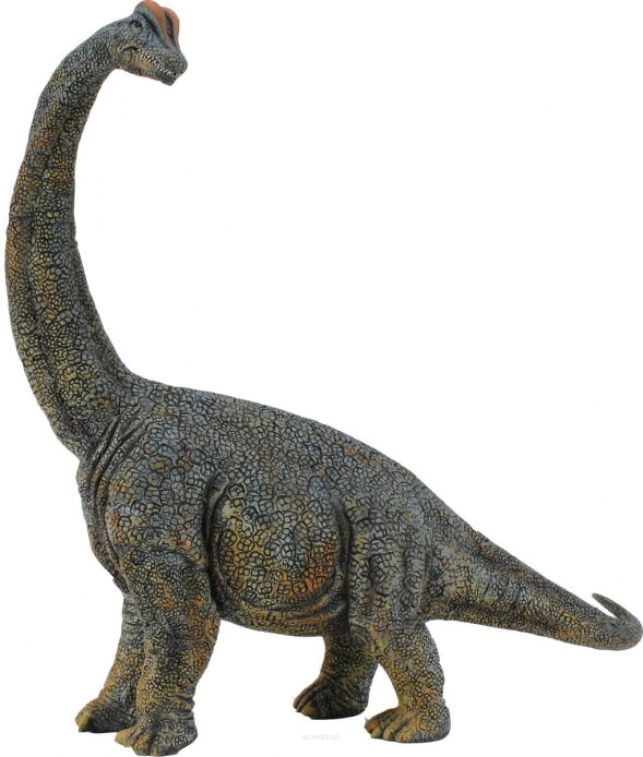 COLLECTA 88405 DINOZAUR BRACHIOZAUR 1:40 DELUXE