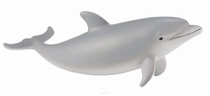 COLLECTA 88616 DELFIN BUTLONOSY MŁODY S