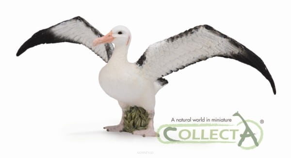 COLLECTA 88765 ALBATROS WĘDROWNY L