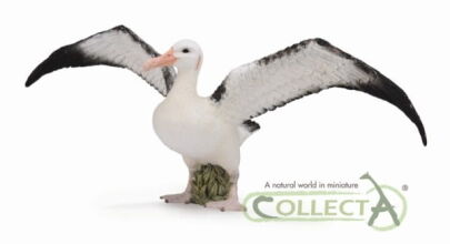 COLLECTA 88765 ALBATROS WĘDROWNY L