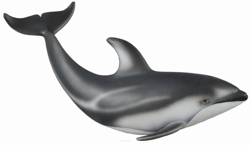 COLLECTA 88612 DELFIN PACYFICZNY, DELFINOWIEC SKOŚNOZĘBNY M