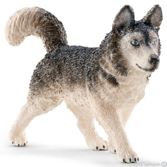 Schleich HUSKY (Schleich 16835)
