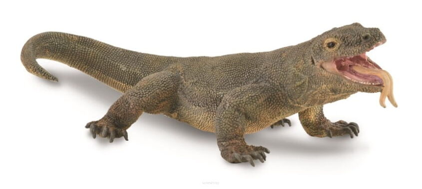 COLLECTA 88900 WARAN Z KOMODO L