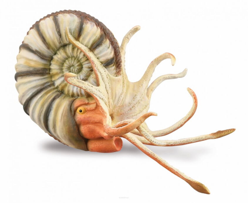 COLLECTA 88902  AMONIT PLEUROCEAS XL