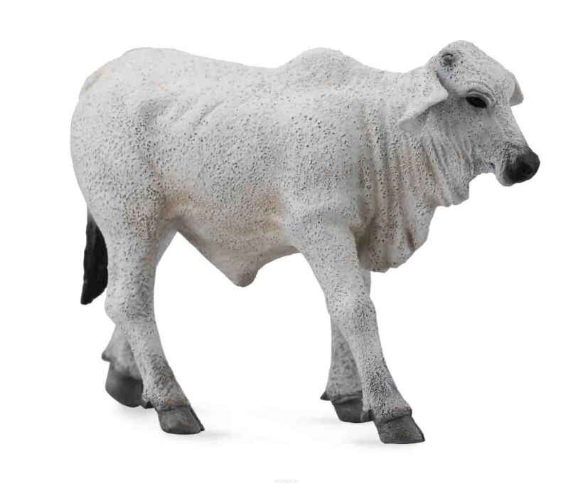 COLLECTA 88581 CIELĘ BRAHMAN S