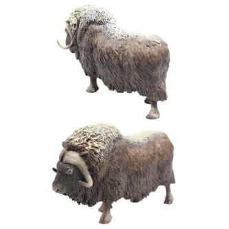 COLLECTA 88837 PIŻMOWÓŁ ARKTYCZNY L