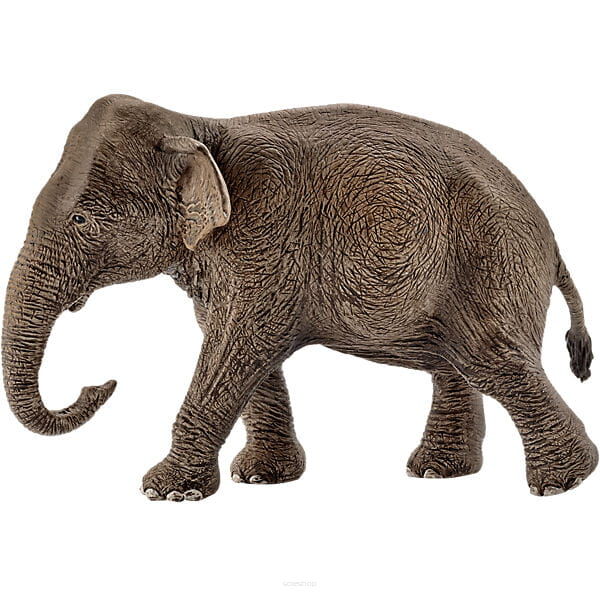 Schleich SŁONICA INDYJSKA (Schleich 14753)