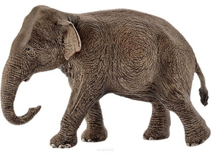 Schleich SŁONICA INDYJSKA (Schleich 14753)