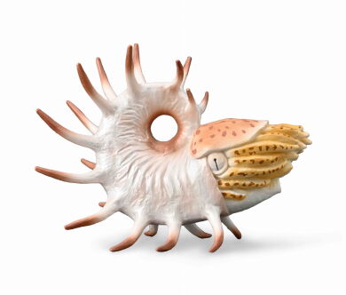 COLLECTA 88946 ŁODZIK COOPEROCERAS XL