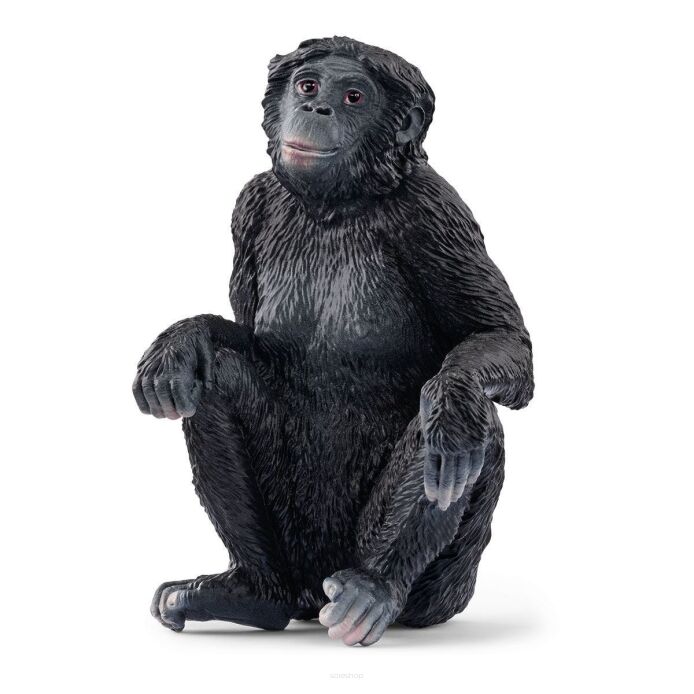 Schleich SAMICA SZYMPANSA KARŁOWATEGO Wild Life (Schleich 14875)