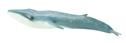 COLLECTA 88834 PŁETWAL BŁĘKITNY XL