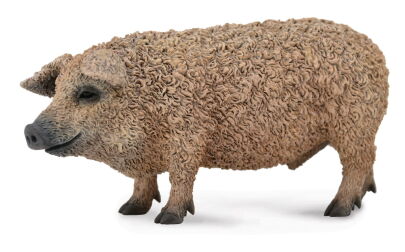 COLLECTA 88674 ŚWINIA WĘGIERSKA MANGALICA M