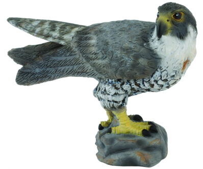 COLLECTA 88399 SOKÓŁ WĘDROWNY S