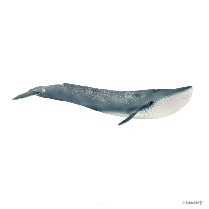 Schleich PŁETWAL BŁĘKITNY (Schleich 14806)