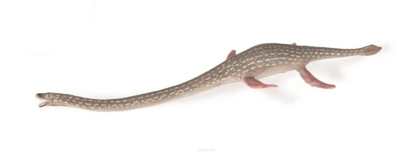 COLLECTA 88922 DINOZAUR ELASMOZAUR / ELASMOSAURUS L