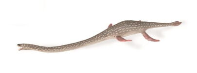 COLLECTA 88922 DINOZAUR ELASMOZAUR / ELASMOSAURUS L