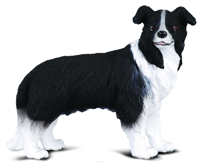 COLLECTA 88010 PIES BORDER COLLIE M