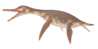 COLLECTA 88520 DINOZAUR DOLICHORHYNCHOPS M