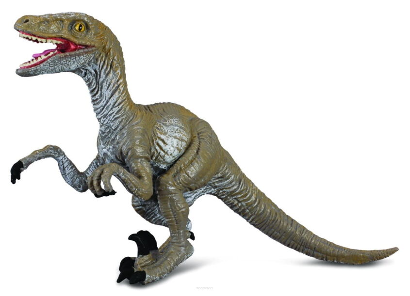 COLLECTA 88034 DINOZAUR VELOCIRAPTOR M