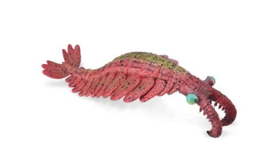 COLLECTA  88977 ANOMALOCARIS L