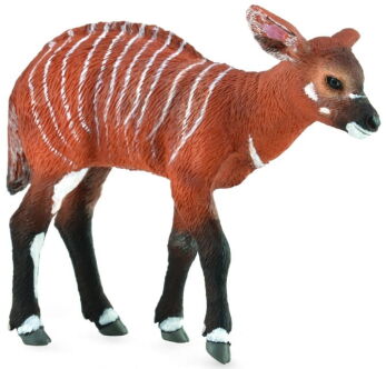 COLLECTA 88823 BONGO LEŚNE CIELĘ M