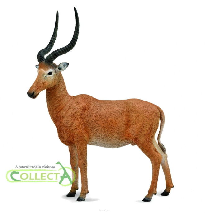 COLLECTA 88757 HIROLA OKULAROWA L