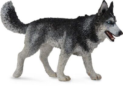 COLLECTA 88707 PIES SYBERYJSKI HUSKY L