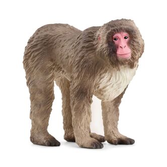 Schleich  MAKAK JAPOŃSKI Wild Life (Schleich 14871)