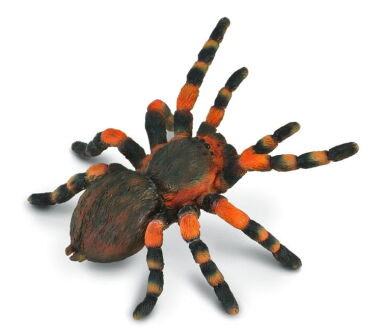 COLLECTA 88338 PAJĄK PTASZNIK CZERWONOKOLANOWY L