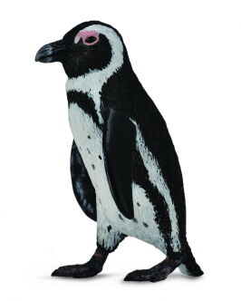 COLLECTA 88710 PINGWIN PRZYLĄDKOWY, TONIEC S