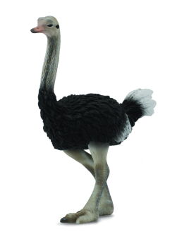 COLLECTA 88459 STRUŚ L