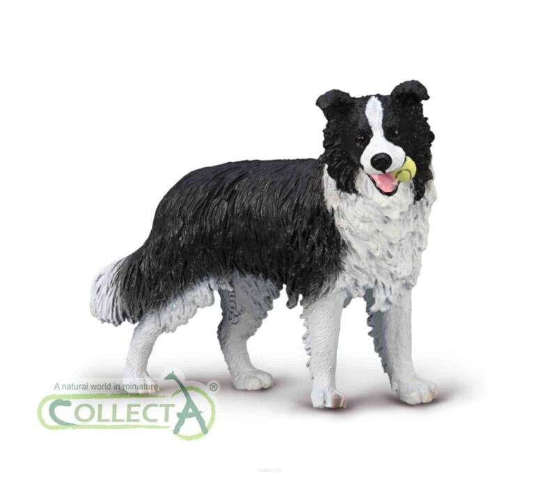 COLLECTA 80012 Pies Border Collie
