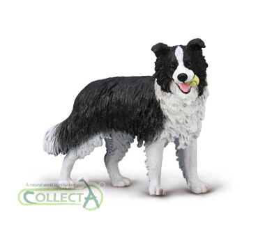 COLLECTA 80012 Pies Border Collie