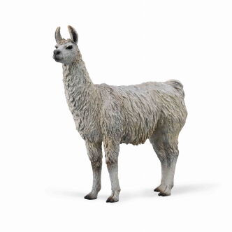 COLLECTA 88991 LAMA M