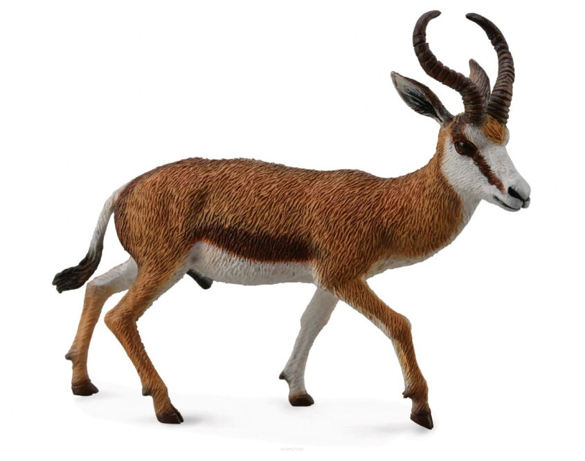 COLLECTA 88684 KOZICA SPRINGBOK / SKOCZNIK ANTYLOPI L