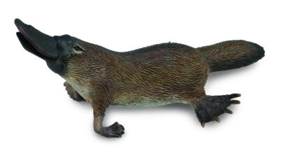 COLLECTA 88795 DZIOBAK AUSTRALIJSKI M