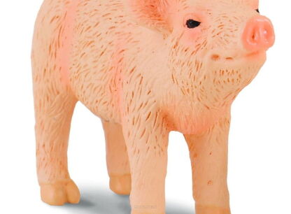 COLLECTA 88344 PROSIĘ WĘSZĄCE S