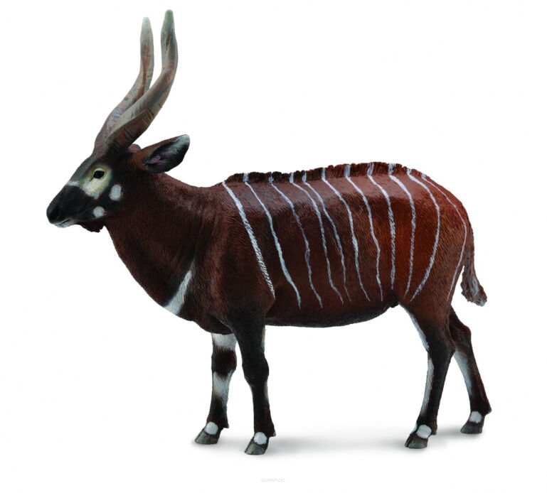 COLLECTA 88809 ANTYLOPA, BONGO LEŚNE SAMIEC XL