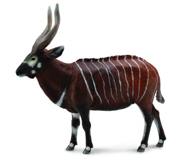 COLLECTA 88809 ANTYLOPA, BONGO LEŚNE SAMIEC XL
