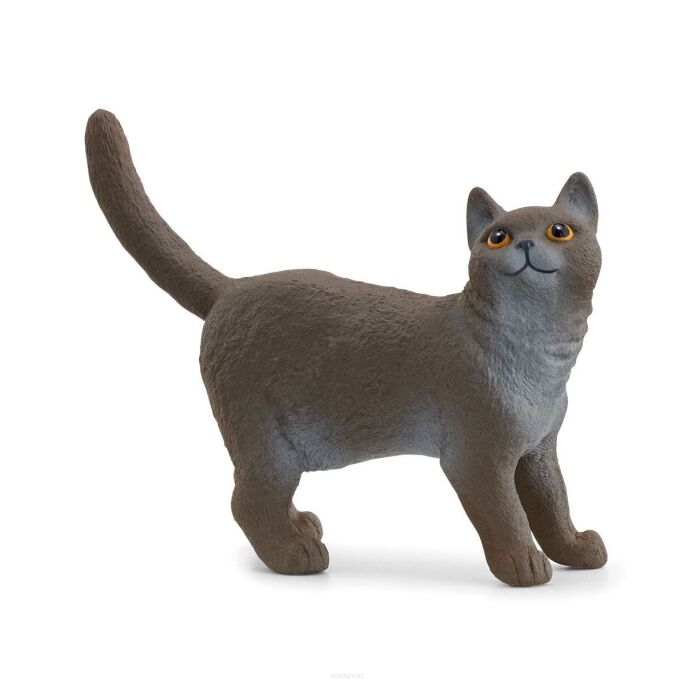 Schleich Kot brytyjski krótkowłosy Farm World (Schleich 13973)