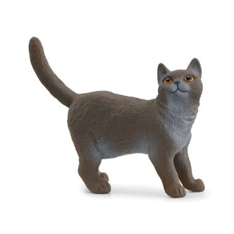 Schleich Kot brytyjski krótkowłosy Farm World (Schleich 13973)
