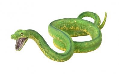 COLLECTA 88962 PYTON ZIELONY