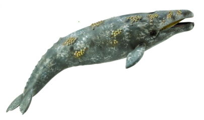 COLLECTA 88836 PŁYWACZ SZARY / WAL SZARY XL