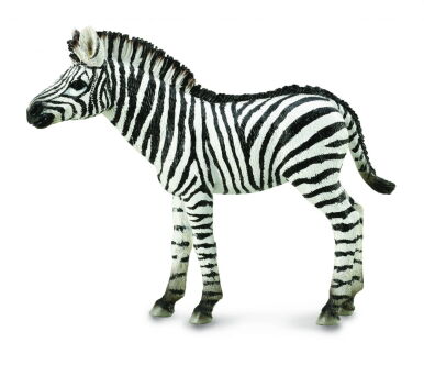 COLLECTA 88850 MŁODA ZEBRA M